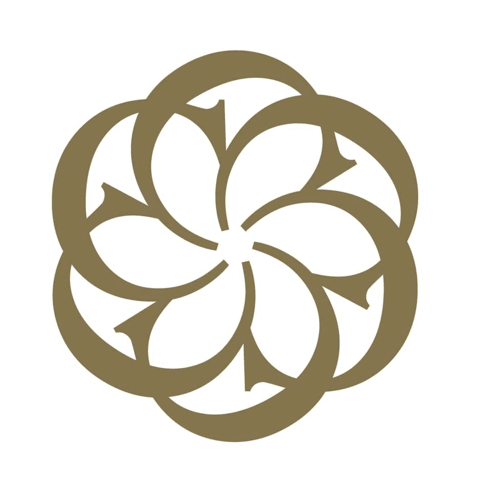 Royale Hayat Hospital مستشفى رويال حياة